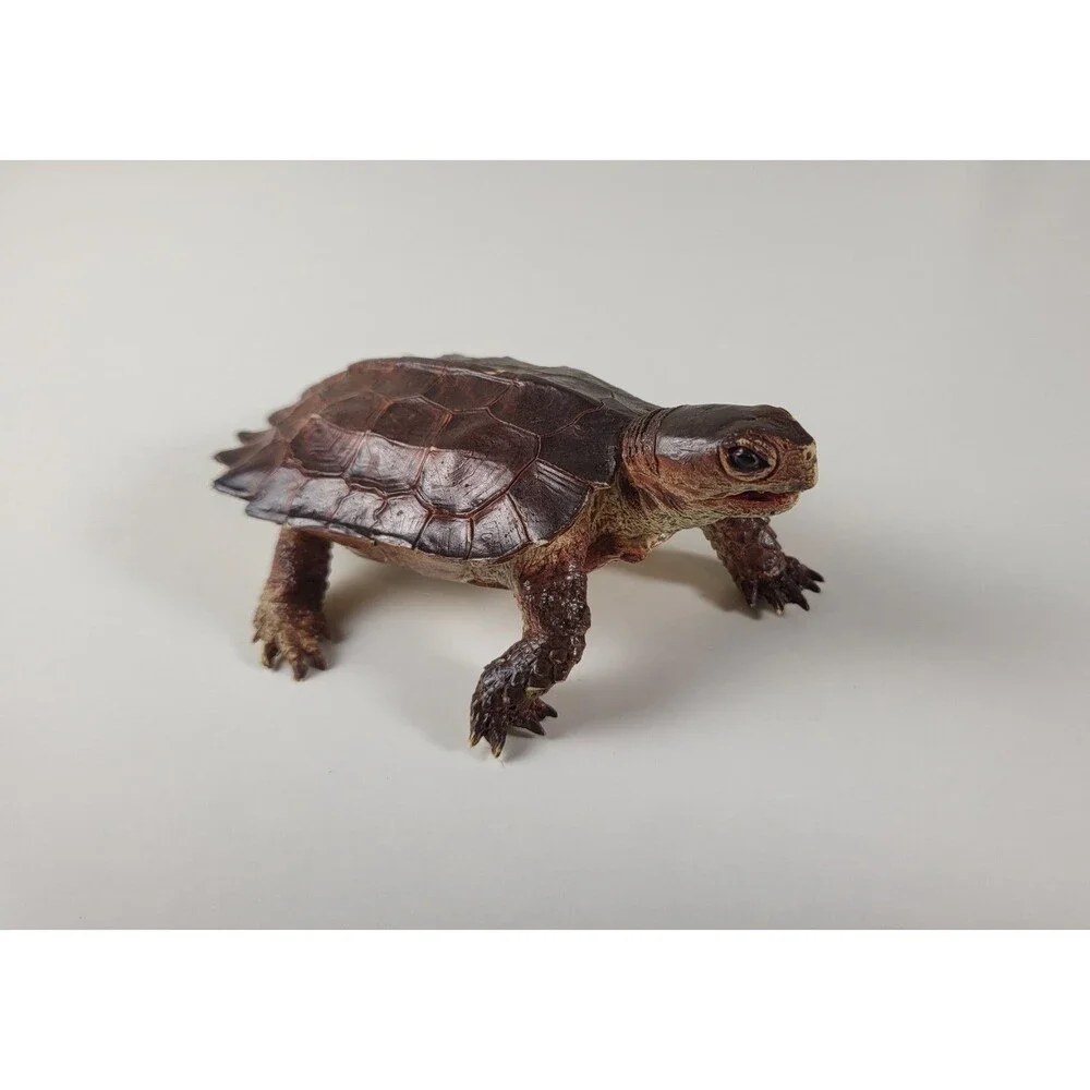 AAA Notched Rubber Tortoise Turtle Figure Realistic Discontinued Brown 4.75” L